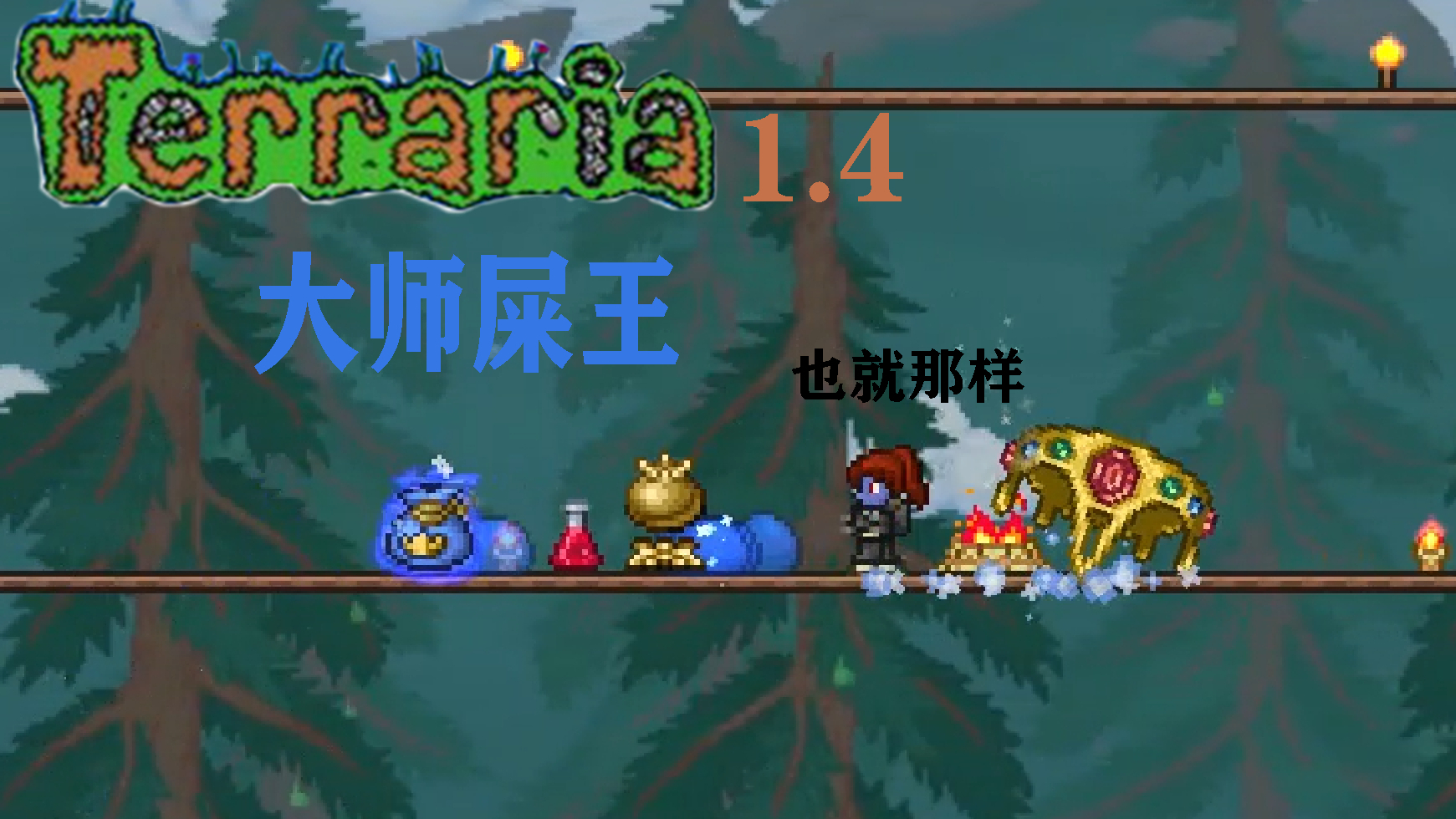 大师史王 泰拉瑞亚大师#2